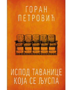 Ispod tavanice koja se ljuspa - 9788652156412