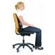 FELLOWES Odmarač za leđa Mesh Professional 8029901 crni - 8999