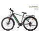 MS ENERGY Električni bicikl eBike t100 - 0001237711