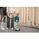 SCOOT AND RIDE Trotinet za decu Highwaykick 1 - Push and go Ash - 00067