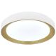 FORMA LED plafonjera 54W 3000K - 6400K LP-405-54R WH+SG - EP2932150
