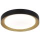 FORMA LED plafonjera 28W 3000K-6400K LP-405-28R BK+SG - EP2927375
