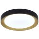 FORMA LED plafonjera 28W 3000K-6400K LP-405-28R BK+SG - EP2927375