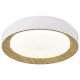 FORMA LED plafonjera 28W 3000K-6400K LP-405-28R WH+WD - EP2927378