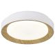 FORMA LED plafonjera 54W 3000K-6400K LP-405-54R WH+WD - EP2927360