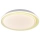 FORMA LED plafonjera 54W 3000K-6400K LP-422-54R YL - EP2932147