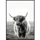 DEKOR DOM SLIKA sa ramom 60X90 TOIR25624 - Buffalo - 022424