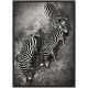 DEKOR DOM Slika sa ramom 27x37cm Zebra - 022872