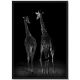 DEKOR DOM Slika sa ramom 27x37cm Giraffe - 022873