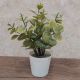DEKOR DOM Cvet u saksiji - SUCCULENT 0038-38A - N38 - 024264