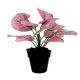DEKOR DOM Cvet u saksiji - MONSTERA PINK ZD-241321R - 36cm - N55 - EP2626199
