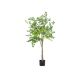 DEKOR DOM Drvo - MONEY TREE 150cm - N60 - EP2626232