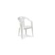 IPAE-PROGARDEN Baštenska stolica plastična Piona - bela 56 × 55 × 78 cm - 029087