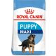 ROYAL CANIN Suva hrana za štence velikih rasa Maxi Puppy 10kg - 03011101454753