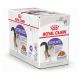ROYAL CANIN Vlažna hrana za sterilisane mačke u želeu 12x85g - 03011101784060