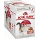 ROYAL CANIN Vlažna hrana u sosu za odrasle mačke Instinctive 12x85g - 03011102344060