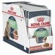 ROYAL CANIN Vlažna hrana za mačke sa osetljivim varenjem Digestive care 12x85g - 03011102784060