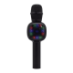 Mikrofon karaoke+ zvučnik (K310) BTS16/ 03 crna - EP2890328
