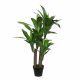 DEKOR DOM Drvo u saksiji DRACAENA 150cm 1102068 - EDL - EP2626358