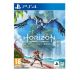 SONY PS4 Horizon Forbidden West - GM00117