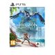 SONY PS5 Horizon Forbidden West - GM00119
