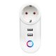 MOYE Pametna utičnica Voltaic WiFi, 2 x USB - 044370