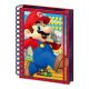 PYRAMID INTERNATIONAL Sveska Super Mario 3D - EP692190