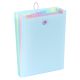 VIQUEL Expanding organizer sa 6 pregrada i gumicom USPRAVNI Rainbow Pastel - 04CK31