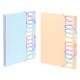 VIQUEL PVC Organiser sa 12 pregrada i gumicom Rainbow Pastel - 04CK35