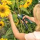 BOSCH Akumulatorske makaze za orezivanje Easy Prune - 06008B2102