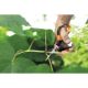 FISKARS Makaze za orezivanje sa špicastim vrhom SP 15 1051602 - 064304