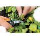 FISKARS Makaze za orezivanje sa špicastim vrhom SP 13 1051600 - 064305