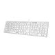 SlimStar 126 USB US bela tastatura - EP3261180
