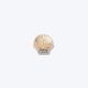 CROCS Bedž gold seashell U - 10008245