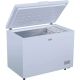 BEKO Horizontalni zamrzivač CF316EWN - ELE02605