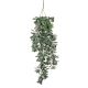 DEKOR DOM Cvet CRASSULA 79cm 1021018 - Green - EDL - EP2880603
