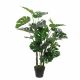 DEKOR DOM Drvo MONSTERA 100cm 1026437 - EDL - EP2880606