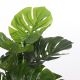 DEKOR DOM Drvo MONSTERA 100cm 1026437 - EDL - EP2880606
