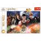 TREFL Puzzle za decu Mysterious Harry Potter 23001 - 300 delova - 102700-23001