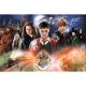 TREFL Puzzle za decu Mysterious Harry Potter 23001 - 300 delova - 102700-23001