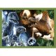 TREFL Puzzle 4u1 Dangerous dinosaurs 34607 - 54, 48, 35, 70 delova - 102815-34607