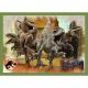 TREFL Puzzle 4u1 Dangerous dinosaurs 34607 - 54, 48, 35, 70 delova - 102815-34607