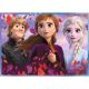 TREFL Puzzle 4u1 Frozen Journey into the unknown 34323 - 54, 48, 35, 70 delova - 102836-34323