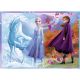 TREFL Puzzle 4u1 Frozen Journey into the unknown 34323 - 54, 48, 35, 70 delova - 102836-34323