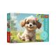 Puzzle 60 kuca - EP3023370