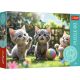 TREFL Puzzle Male mace - 60 delova - 103136-17412