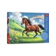 Puzzle 200 konj - EP3023349