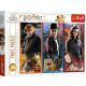 TREFL Puzzle za decu Harry Potter 13277 - 200 delova - 103508-13277