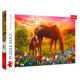 Puzzle 500 konji - EP3023555