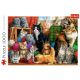 TREFL Puzzle Cat meeting 10555 - 1.000 delova - T10555